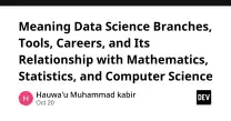 Data science careers split by daily task, not job title