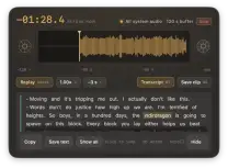 Huh? lets you replay the last 30 to 120 seconds of system audio with a hotkey