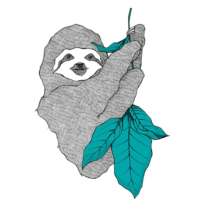 从零开始搞网页开发,现在的环境真的比三年前复杂太多了。 从零开始搞网页开发,现在的环境真的比三年前复杂太多了。