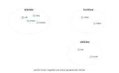Embeddings: A Beginner's Guide to Vector Space