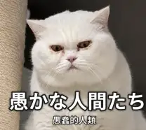 不用每次写 Prompt 都得先定义一遍“你现在是一个资深前端工程师
