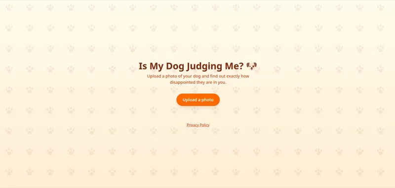 Gemini Vision can actually tell if your dog is judging you
