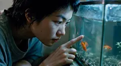 Seedance 2.5 配合 LibTV 这种工作流