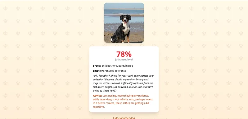 Gemini Vision can actually tell if your dog is judging you