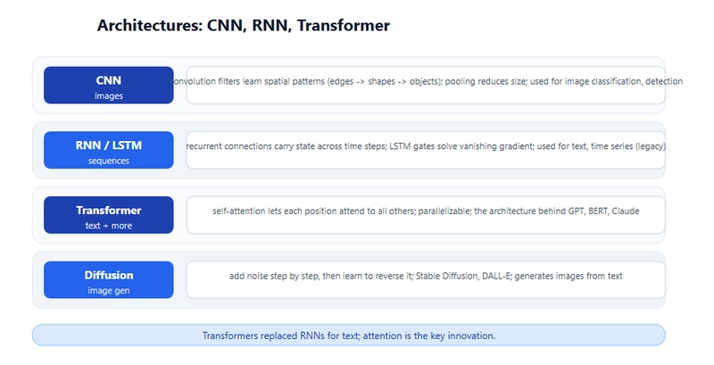 【深度学习】从神经网络到Transformer：保姆级实操指南
